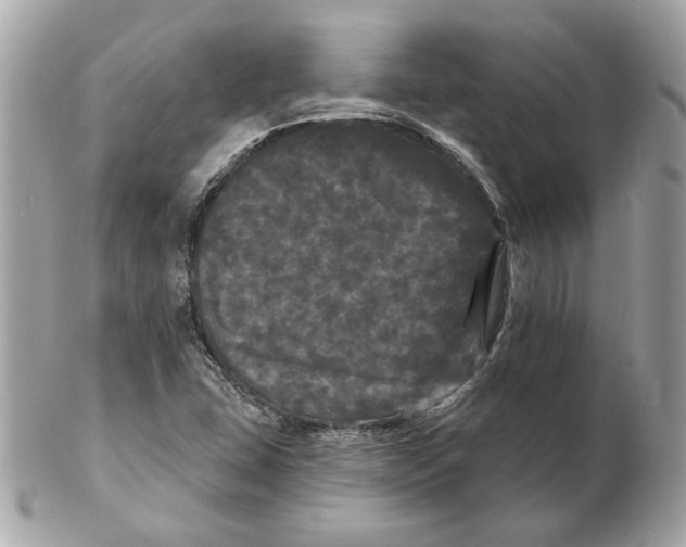 X0000102491407200808291639