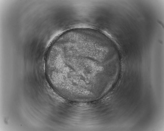 X0000102491408200808291639