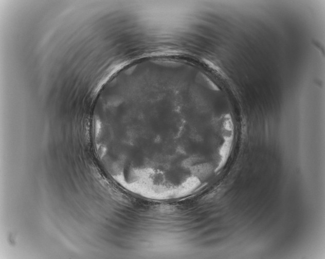 X0000102491409200808291639