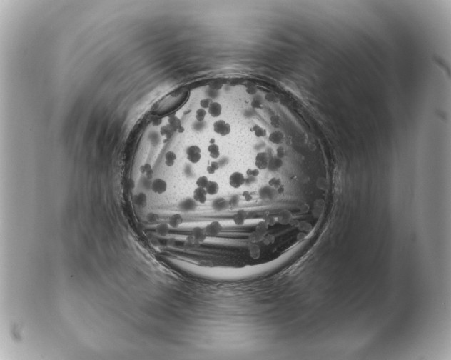 X0000102491410200808291639