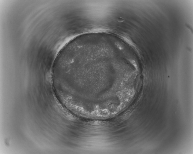 X0000102491412200808291639