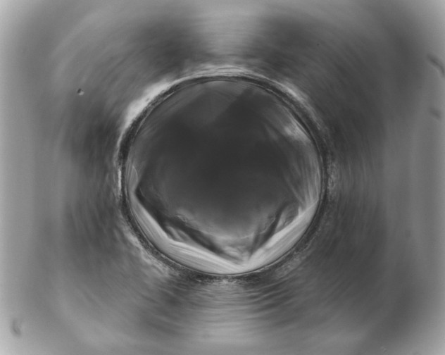 X0000102491414200808291639