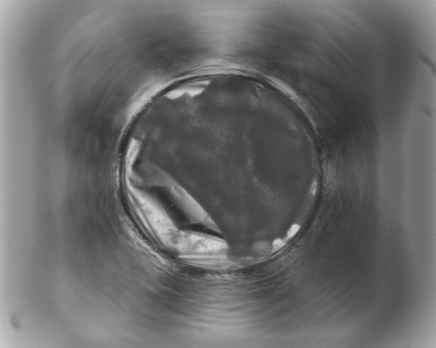 X0000102491415200808291639