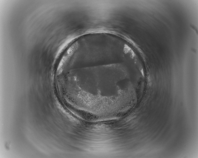 X0000102491416200808291639