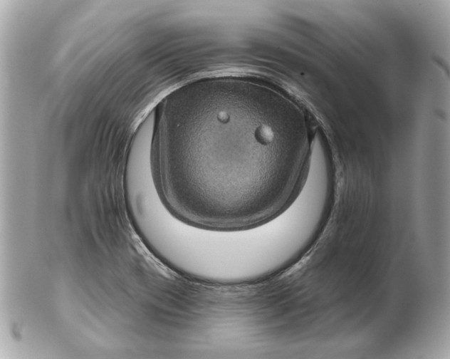 X0000102491417200808291639