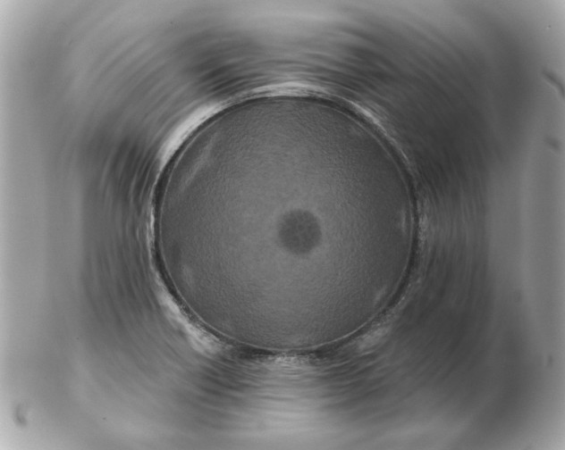 X0000102491418200808291639