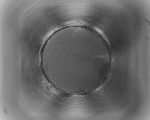 X0000102491419200808291639