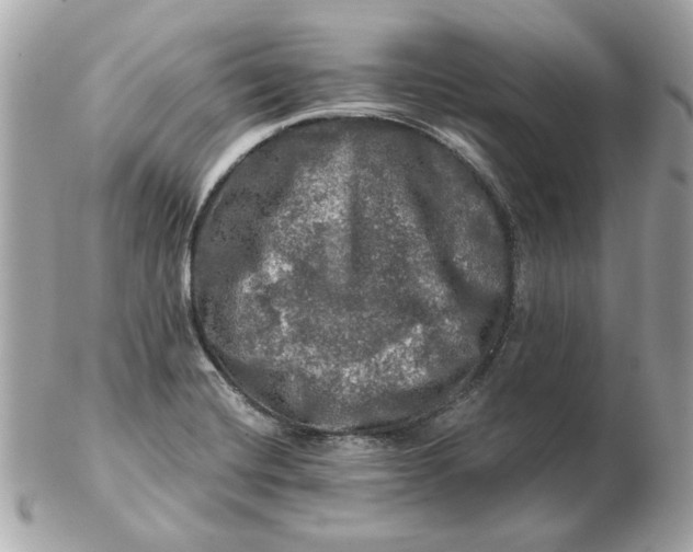 X0000102491420200808291639