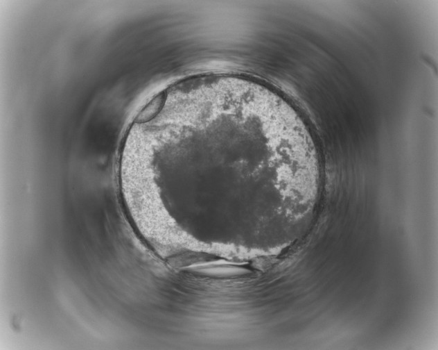 X0000102491421200808291639