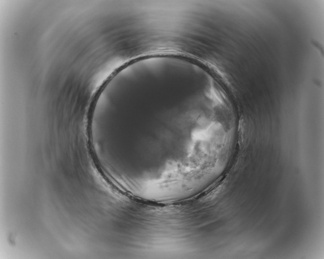 X0000102491422200808291639