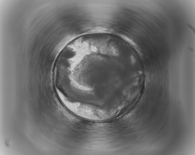 X0000102491423200808291639