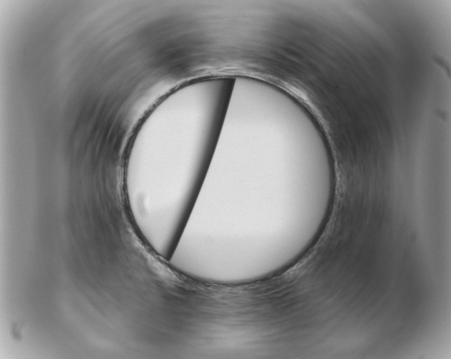 X0000102491424200808291639