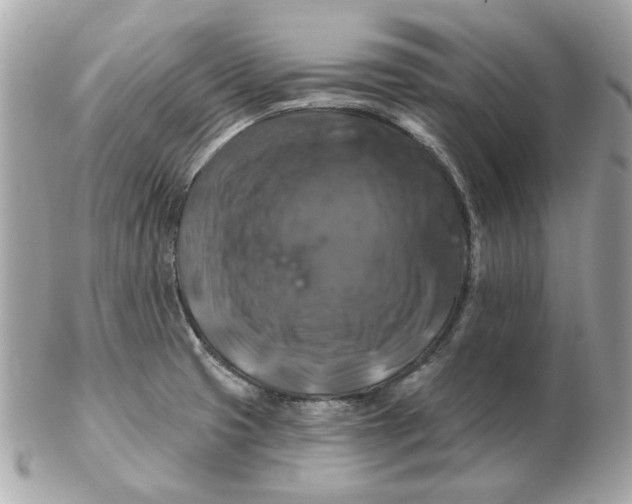 X0000102491425200808291639