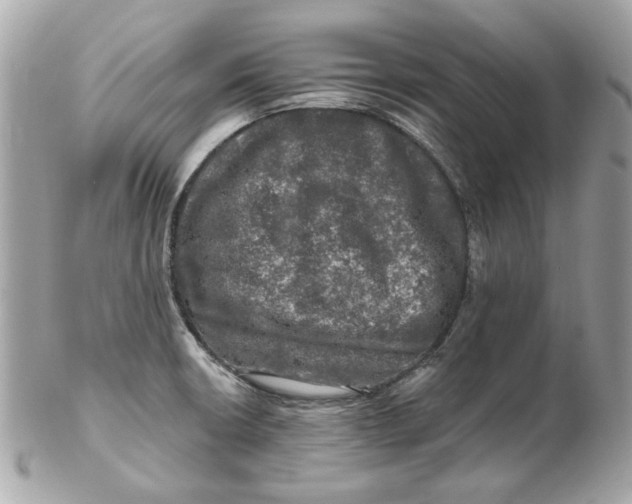 X0000102491426200808291639