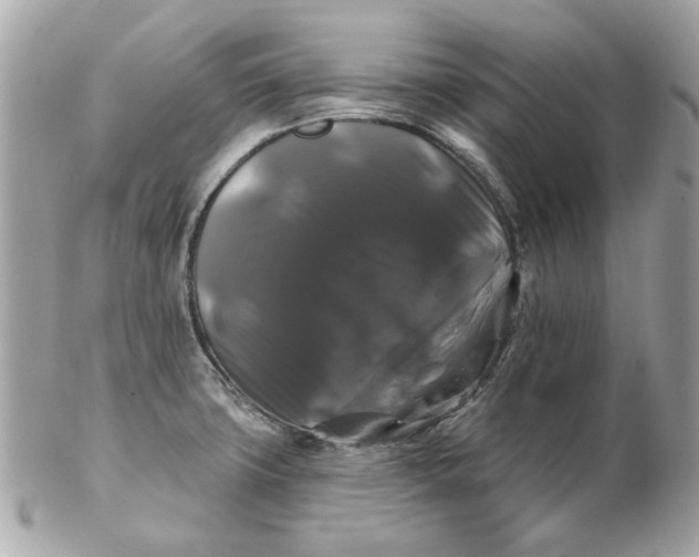 X0000102491427200808291639