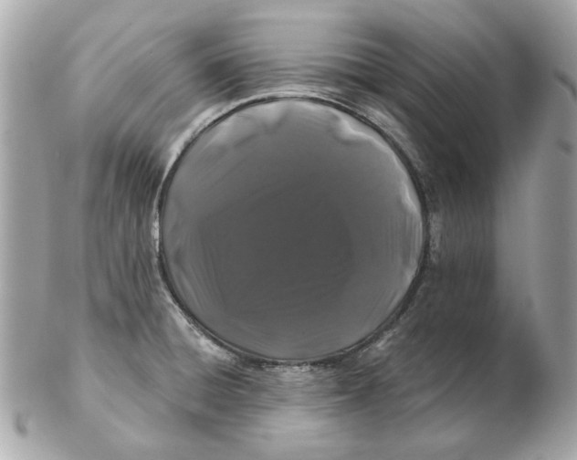 X0000102491428200808291639