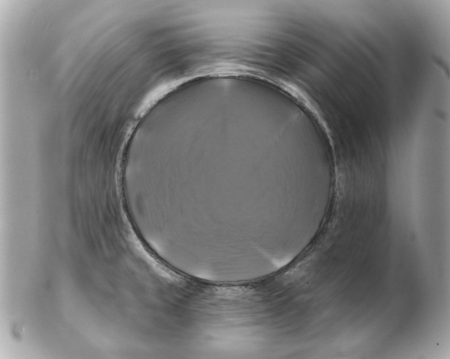 X0000102491429200808291639