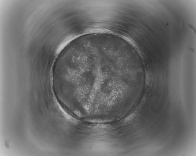 X0000102491430200808291639