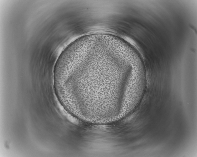 X0000102491431200808291639