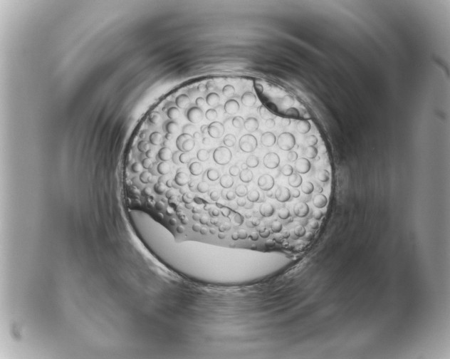 X0000102491432200808291639