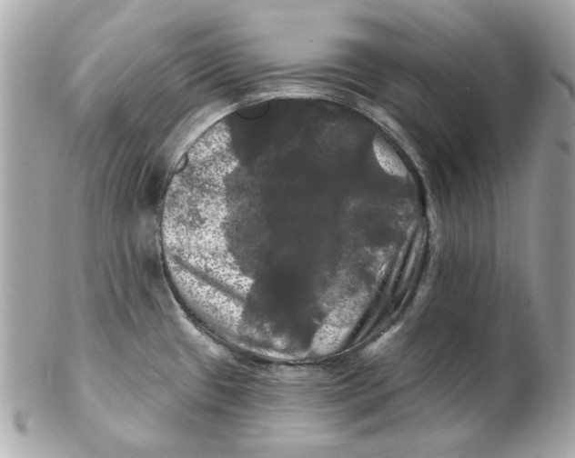 X0000102491433200808291639