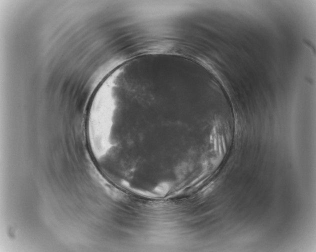 X0000102491434200808291639