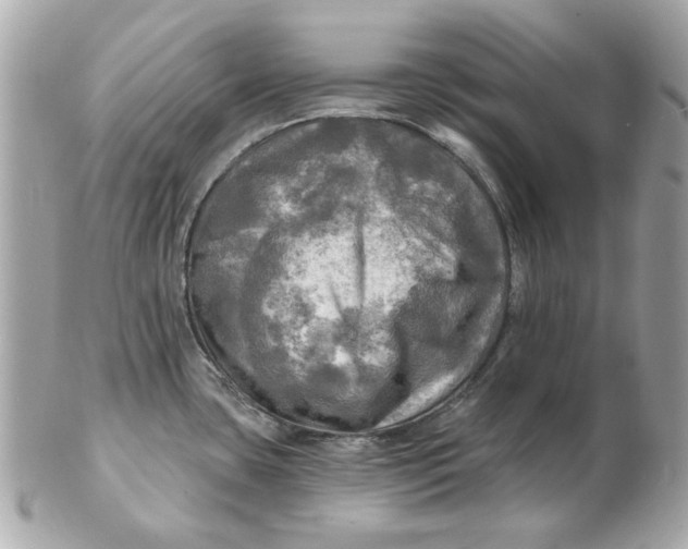 X0000102491435200808291639