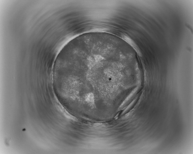 X0000102491436200808291639