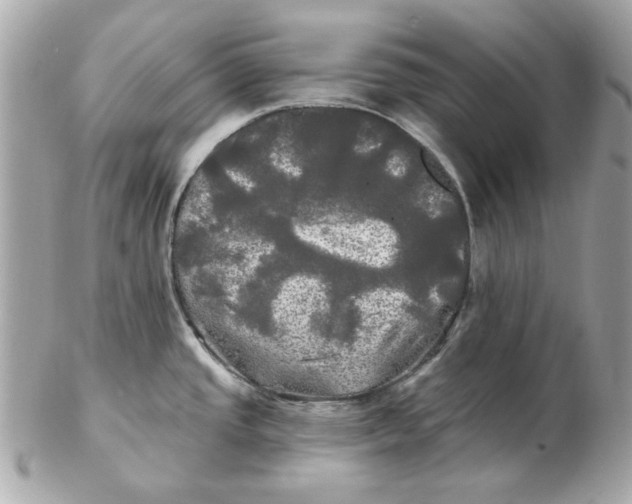 X0000102491437200808291639