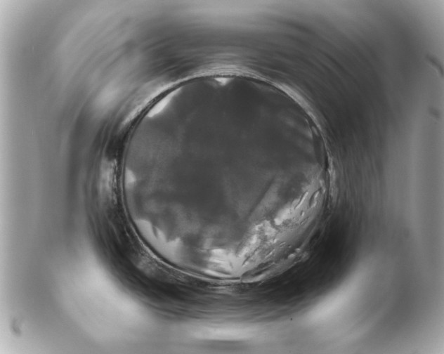 X0000102491438200808291639