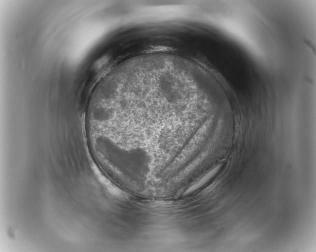 X0000102491439200808291639