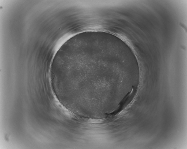 X0000102491440200808291639