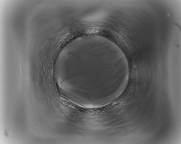 X0000102491441200808291639