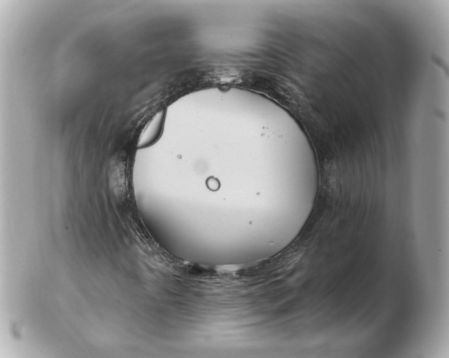 X0000102491442200808291639