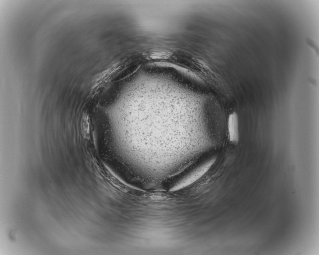 X0000102491443200808291639