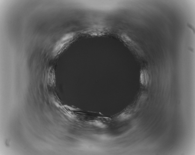 X0000102491444200808291639