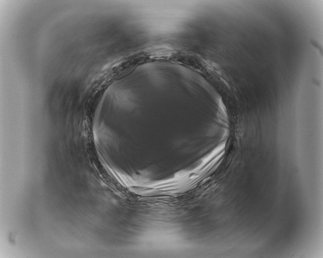 X0000102491445200808291639