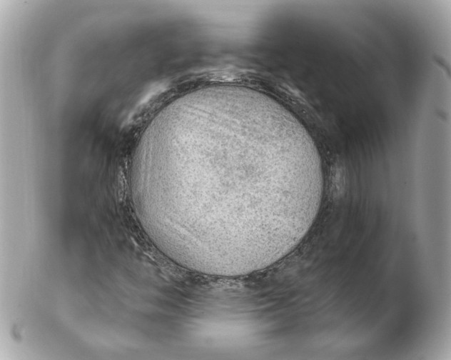 X0000102491446200808291639