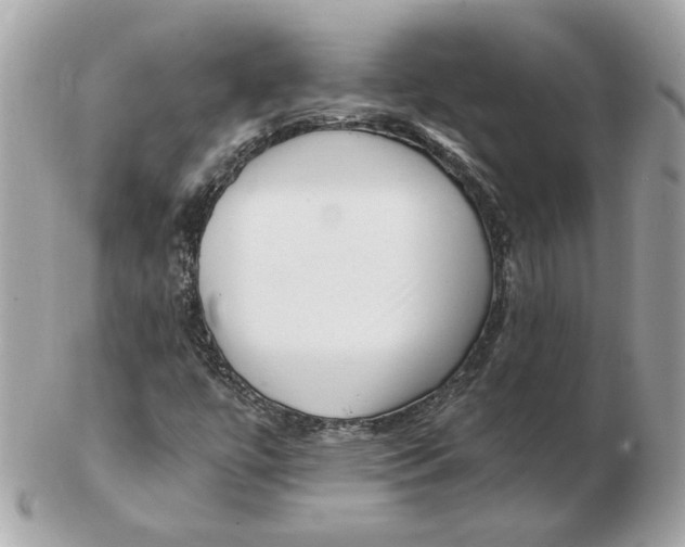 X0000102491447200808291639