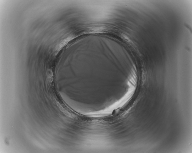 X0000102491449200808291638