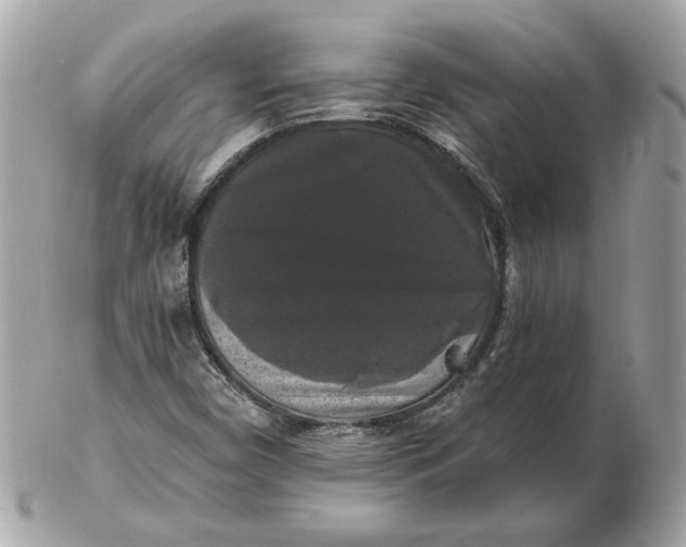 X0000102491450200808291638