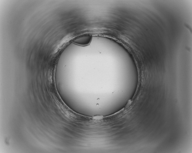 X0000102491451200808291638