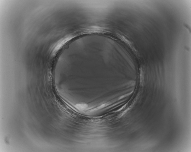 X0000102491453200808291638