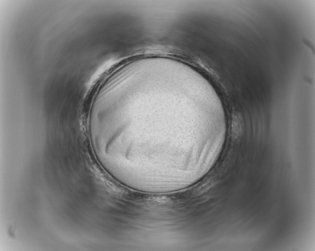 X0000102491454200808291638