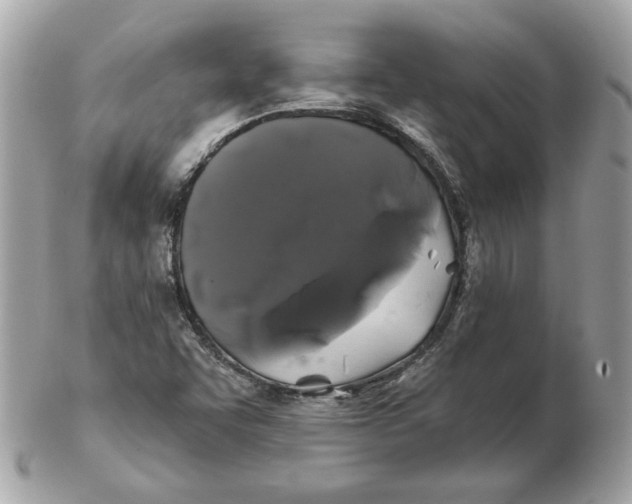 X0000102491455200808291638