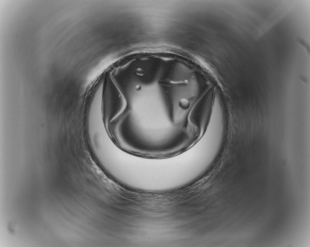 X0000102491456200808291638