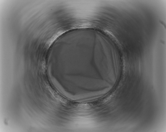 X0000102491457200808291638