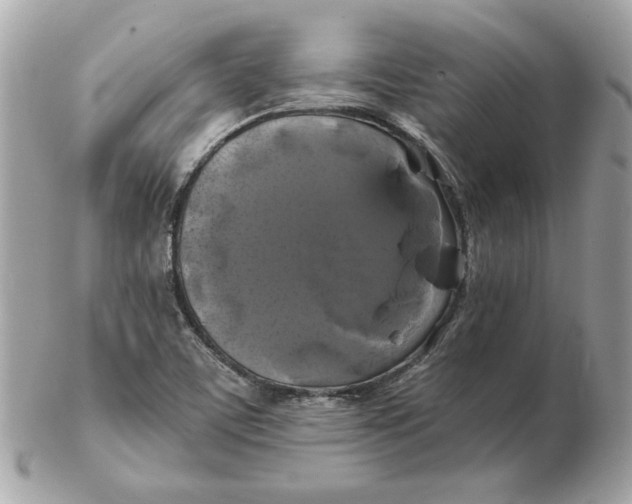 X0000102491459200808291638