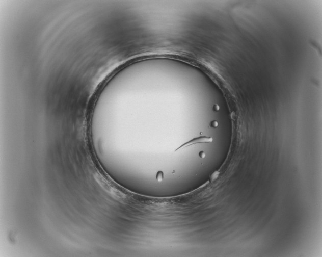 X0000102491460200808291638