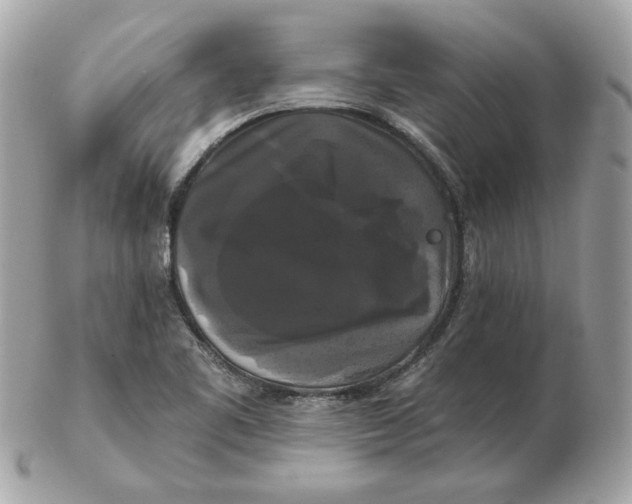 X0000102491461200808291638